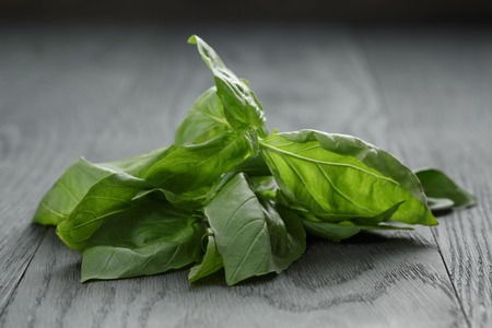 fresh green basil leaves on wooden tableの写真素材