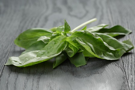 fresh green basil leaves on wooden tableの写真素材