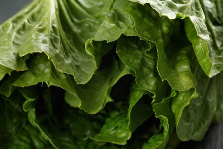 fresh romain green salad on wood table, closeup photoの写真素材