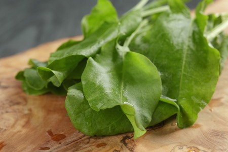 fresh sorrel leaves on cutting board on oak wood table, rustic foodの写真素材