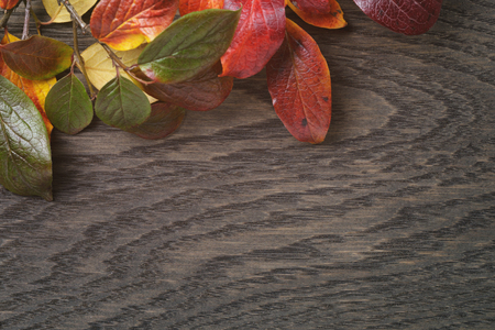 vintage toned photo of autumn leaves over wood table, directly from aboveの写真素材