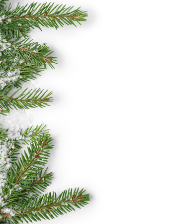 fir branches border on white background, good for christmas backdropの写真素材