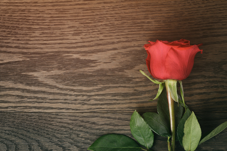 dark red rose on wood table with copy space for something, vintage tonedの写真素材