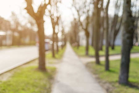 blurred background of small town in spring, real optical bokehの写真素材
