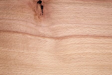 natural beech wood texture closeup, high detailedの写真素材
