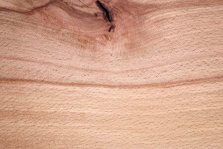 natural beech wood texture closeup, high detailedの写真素材