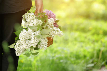 female teen girl hold basket full of lilac flowers, sunny day photoの写真素材