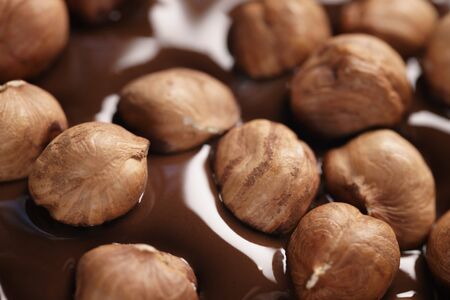 melted dark chocolate with hazelnuts, making chocolate bar, shallow focusの写真素材