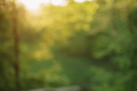 natural bokeh blur background of leaves and sunset light, backdropの写真素材