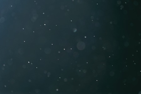 real backlit dust particles with blue toned flare, real photoの写真素材