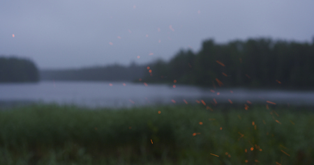 sparks floating in the air above campfire in the evening, 4k photoの写真素材