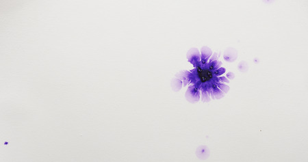 purple watercolor paint spot on white paperの写真素材