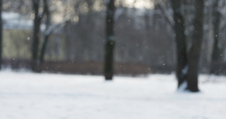 beautiful snowfall background in town park in sunny morning, 4k photoの写真素材