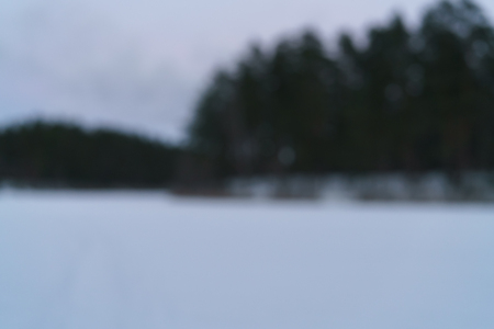 blurred background of dark winter evening on lake in pine forest, real lens blurの写真素材