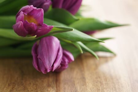 bouquet of purple tulips on wood table closeup, shallow focusの写真素材