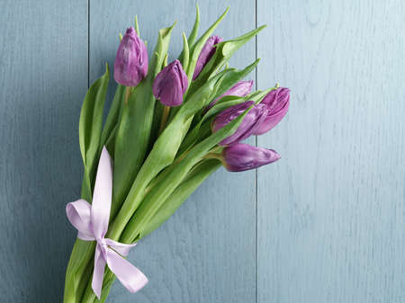 purple tulips on blue wood background top view, with copy spaceの写真素材