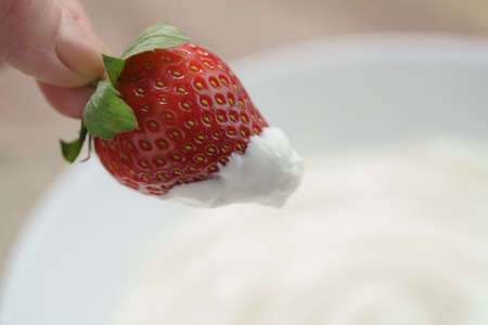 fresh strawberry dipped into cream with copy space, delicious foodの写真素材
