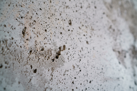 angle shot of new concrete wall with shallow focus, high detailed photoの写真素材