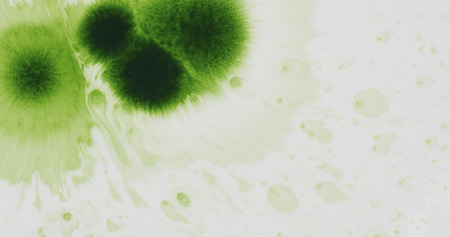 green ink drop on wet white paper top viewの写真素材