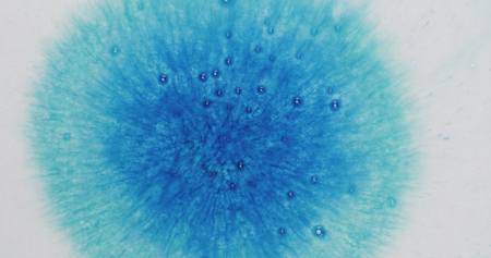 turquoise blue ink drop on wet white paper top viewの写真素材