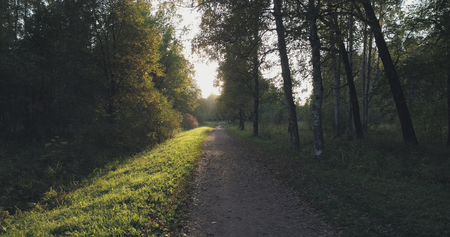 pov walk shot in wild park in september at sunsetの写真素材
