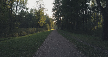 pov walk shot in wild park in september at sunset
