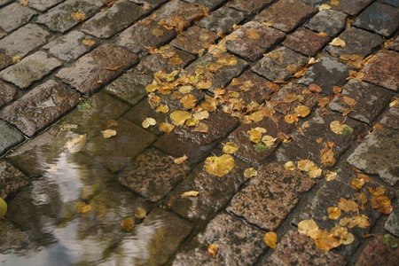wet old pavement with puddle and autumn leavesの写真素材