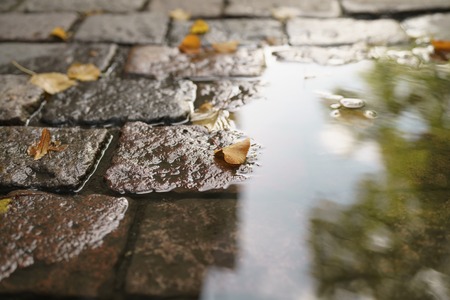 wet old pavement with puddle and autumn leaves
