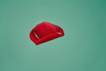 red rose petal in blue colored waterの写真素材