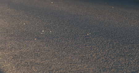 poplar fluff slowly falling on a street at sunset
