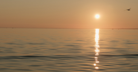 small waves on a beach at sunset with seagull flying aroundの写真素材