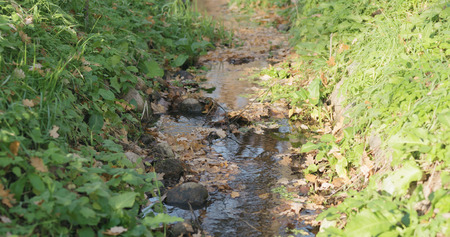 closeup of water stream in autumn park, wide photo