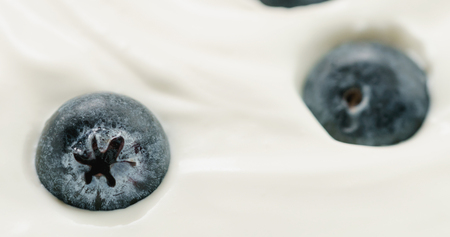 Closeup of organic yogurt with fresh blueberriesの写真素材