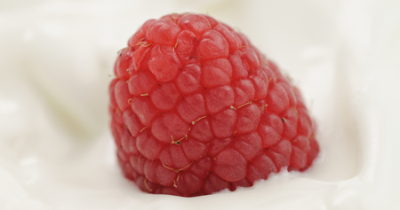 Closeup   of organic yogurt with fresh raspberries