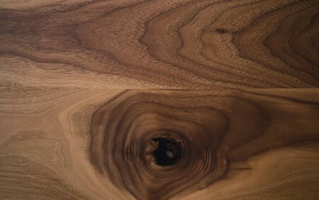 Black walnut wood texture from two boards oil finishedの写真素材