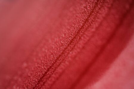Closeup red car paint surface with hydrophobic ceramic coatingの写真素材