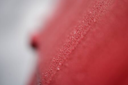 Closeup red car paint surface with hydrophobic ceramic coatingの写真素材