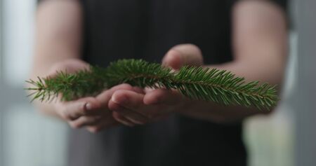 young man show green spruce twig