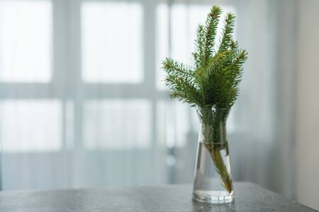 Fresh spruce twigs in glass vase on terrazzo countertopの写真素材