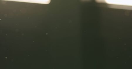 real dust particles floating in air with blurred background, wide photoの写真素材