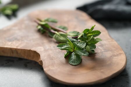 Fresh mint on olive wood board closeup, shallow focusの写真素材