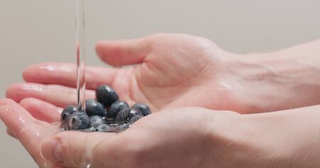 closeup man hands wash blueberries , wide photoの写真素材