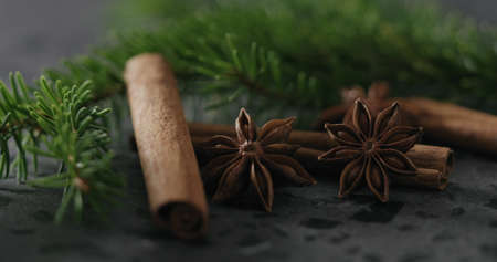 spruce twig with cinnamon and anise on terrazzo countetopの写真素材