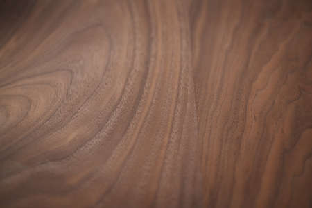 Closeup toned black walnut surfaceの写真素材