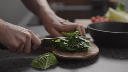 man hand cutting romaine lettuce on wood board to make saladの写真素材
