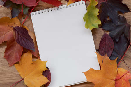 Autumn theme background with leaves over oak wood table with notepad