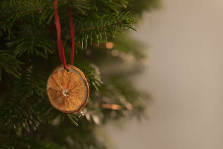Dried orange as a decoration hanging on christmas treeの写真素材