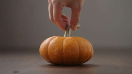 man hand put small orange pumpkin on walnut table with copy spaceの写真素材
