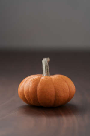 Small orange pumpkin on black walnut table with white wall backgroundの写真素材