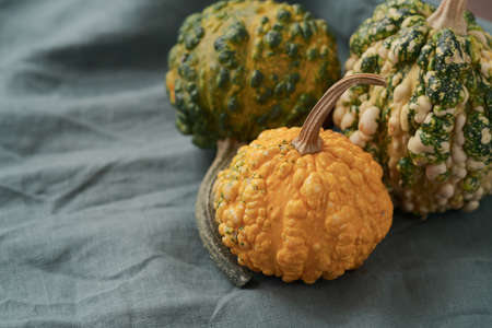 warty pumpkins on linen cloth with copy spaceの写真素材
